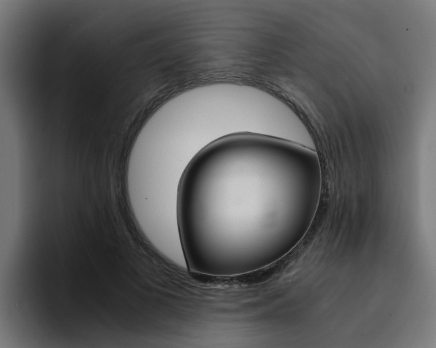 X0000094430693200711081019