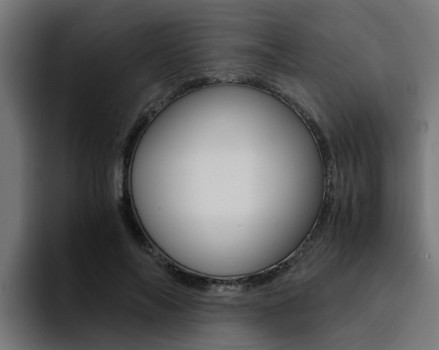 X0000094430694200711081019