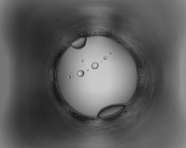 X0000094430695200711081019
