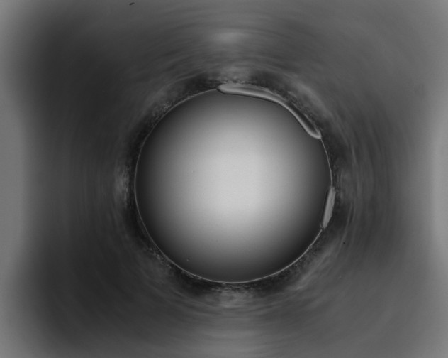 X0000094430697200711081019