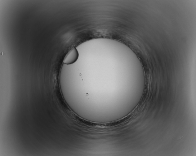 X0000094430699200711081019