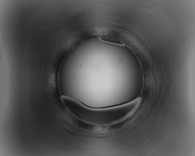 X0000094430700200711081019