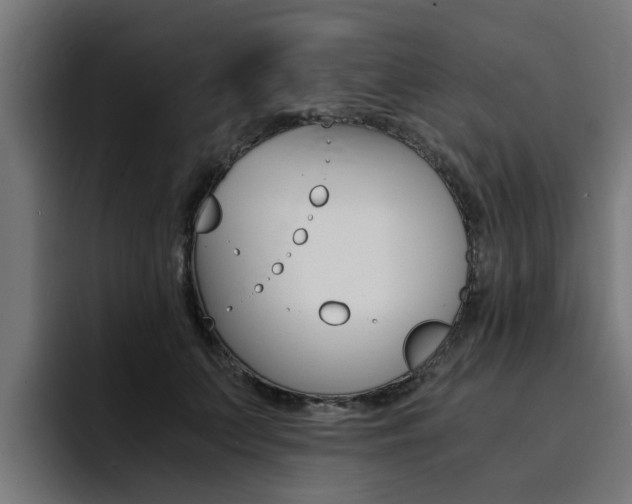X0000094430703200711081019