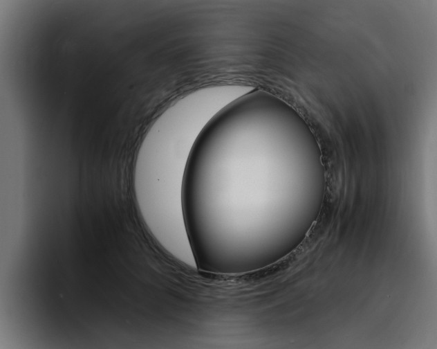 X0000094430704200711081019