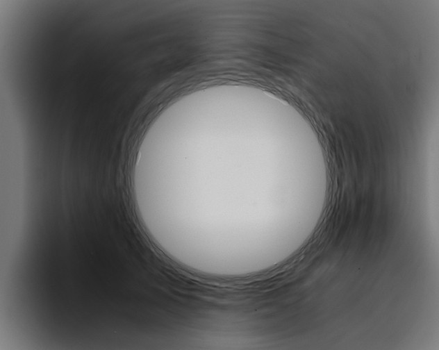 X0000094430705200711081019