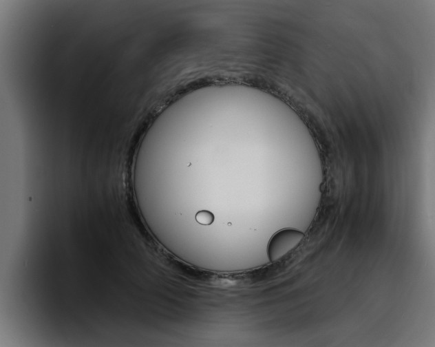 X0000094430706200711081019