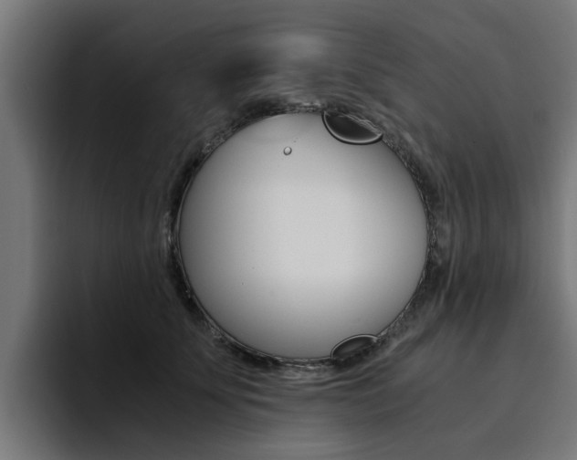 X0000094430707200711081019