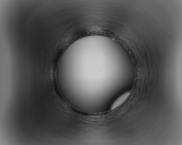 X0000094430708200711081019
