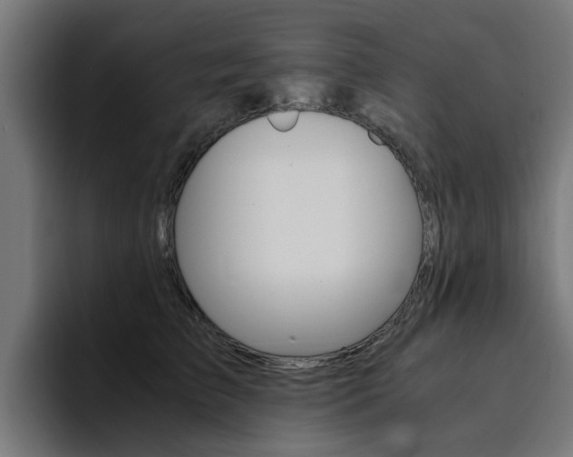 X0000094430709200711081019