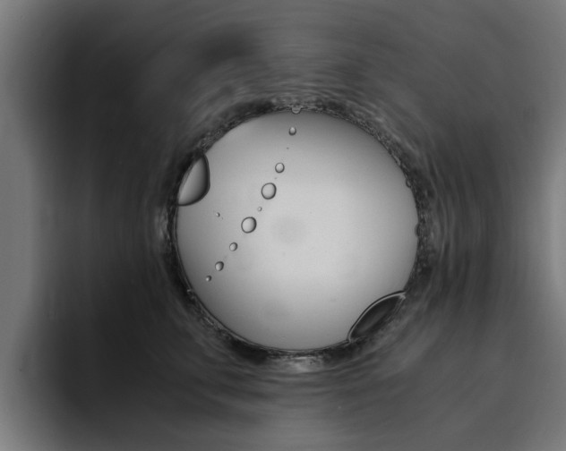 X0000094430711200711081019