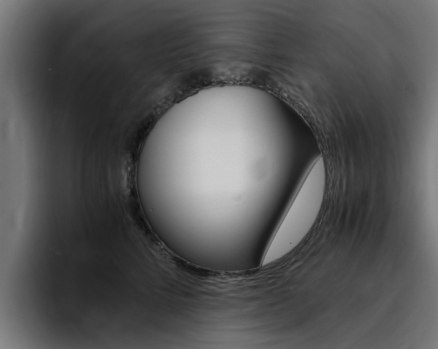 X0000094430712200711081019