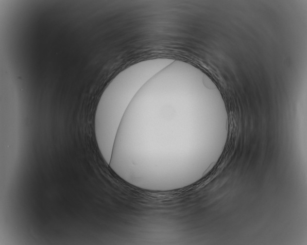X0000094430713200711081019