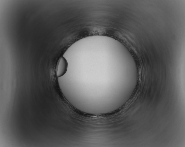 X0000094430714200711081019