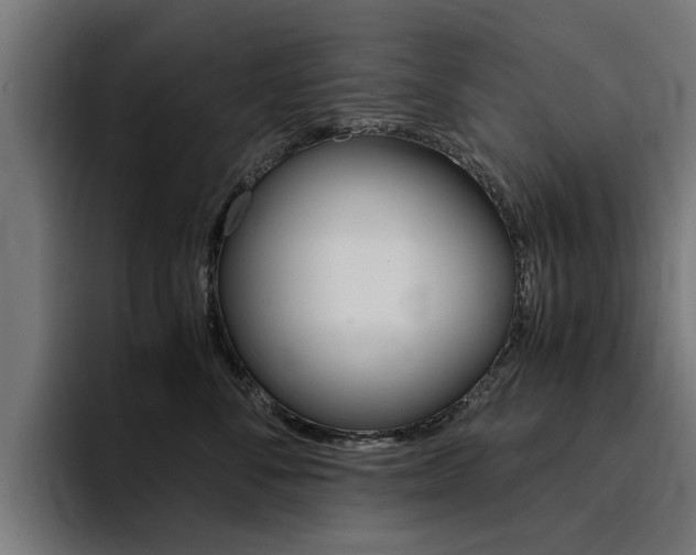 X0000094430716200711081019