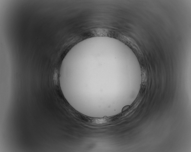 X0000094430717200711081019