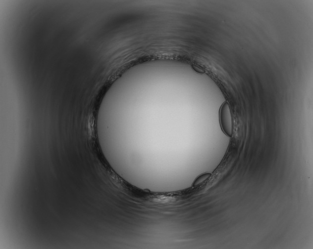 X0000094430718200711081019