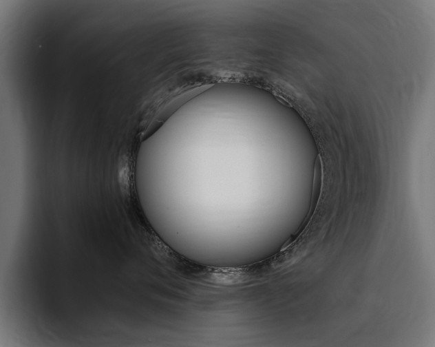 X0000094430720200711081019