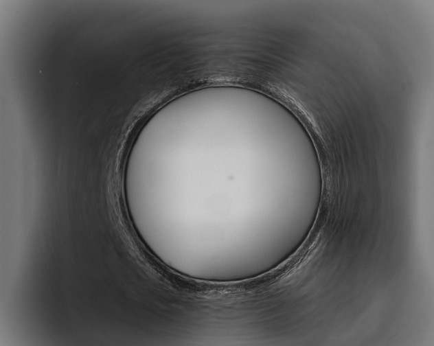 X0000094430721200711081018