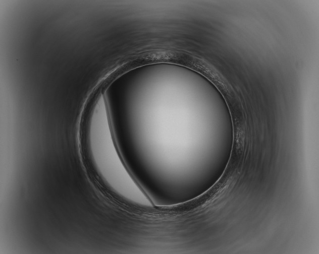 X0000094430722200711081018