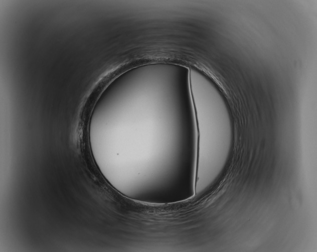 X0000094430723200711081018