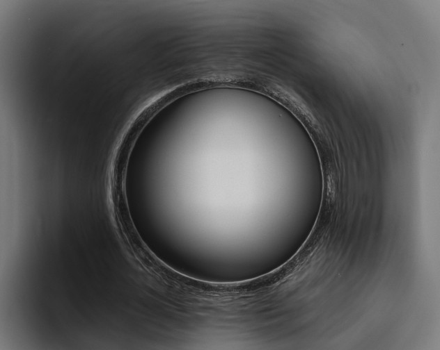 X0000094430724200711081018