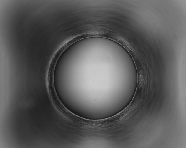 X0000094430726200711081018