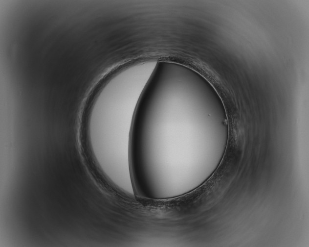 X0000094430728200711081018