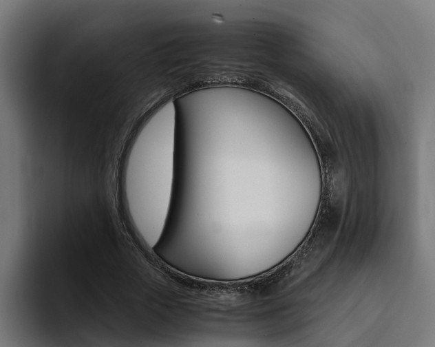 X0000094430729200711081018