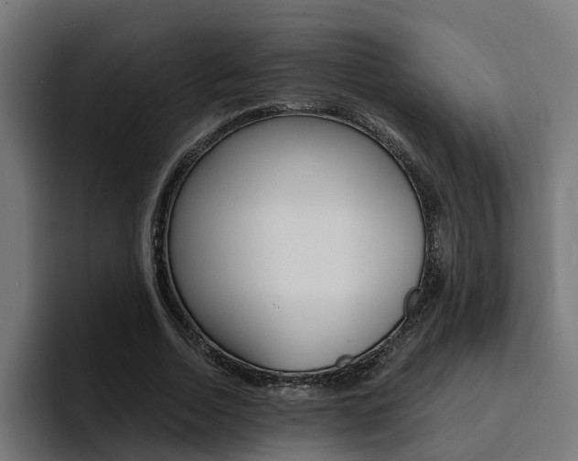 X0000094430730200711081018