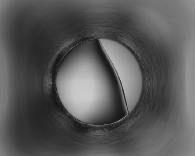 X0000094430731200711081018