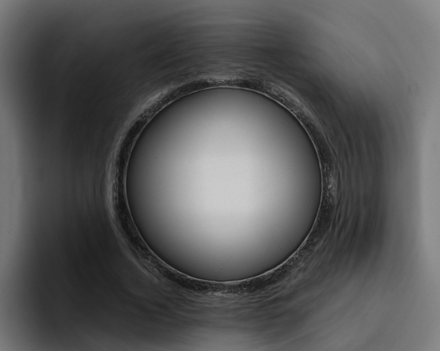 X0000094430732200711081018