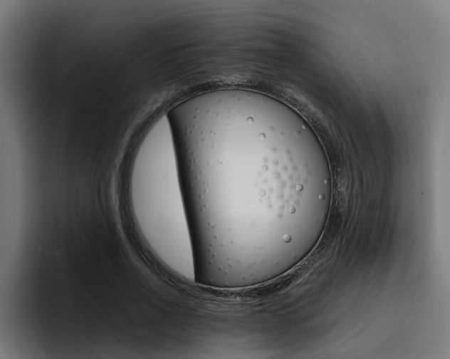 X0000094430734200711081018