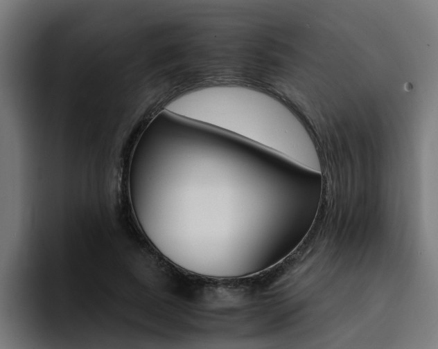 X0000094430739200711081018