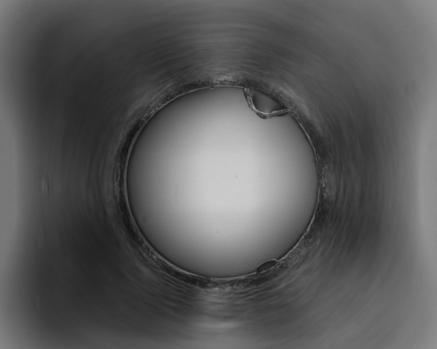 X0000094430740200711081018