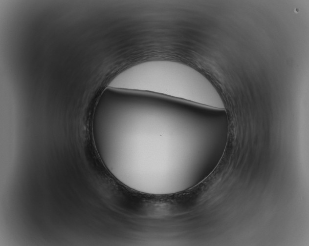 X0000094430743200711081018