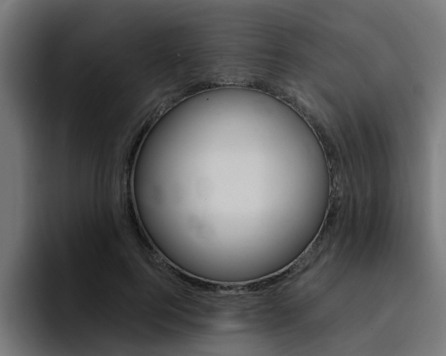 X0000094430744200711081018