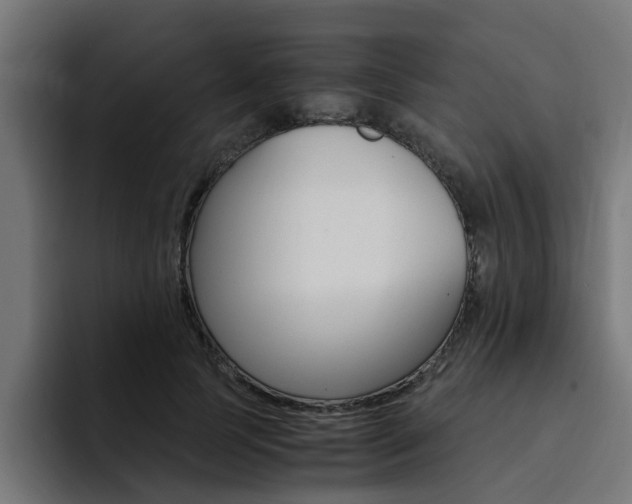 X0000094430745200711081019