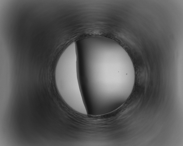 X0000094430747200711081019