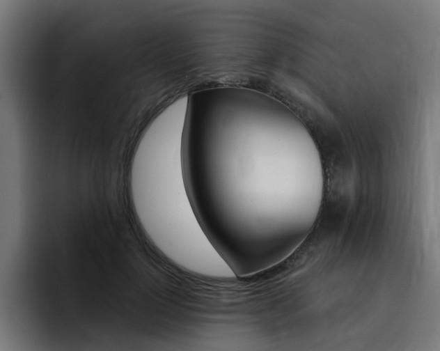 X0000094430748200711081019
