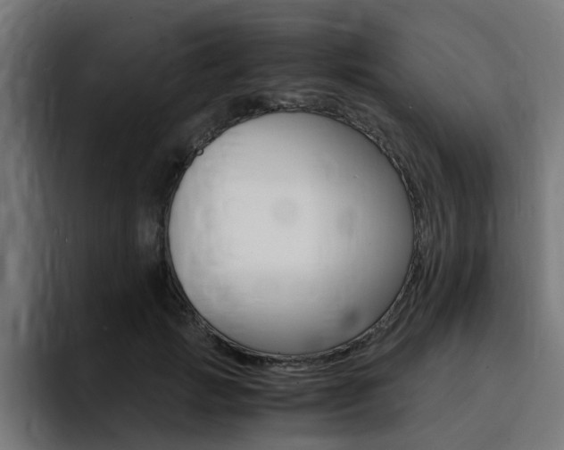 X0000094430749200711081019