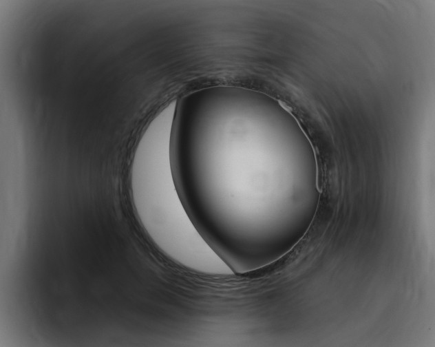 X0000094430750200711081019
