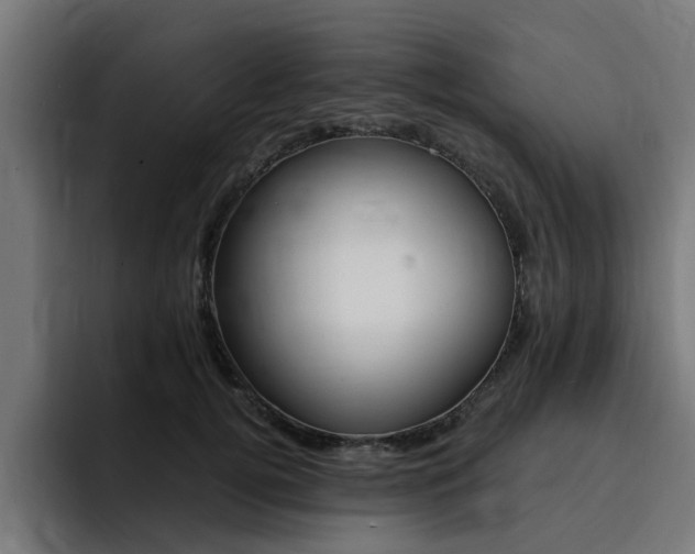 X0000094430752200711081019