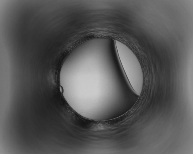 X0000094430755200711081019