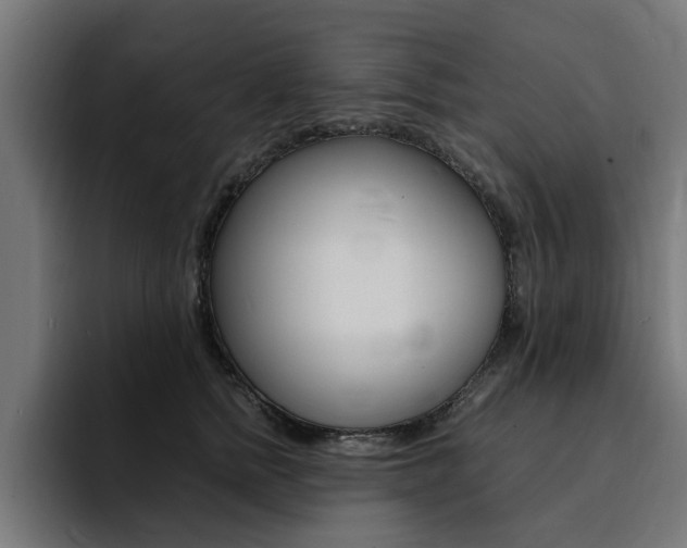 X0000094430758200711081019