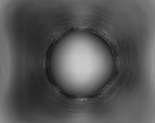 X0000094430760200711081019