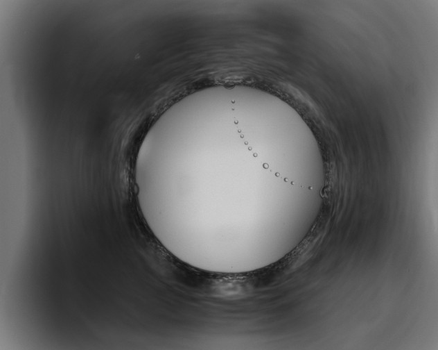 X0000094430761200711081019