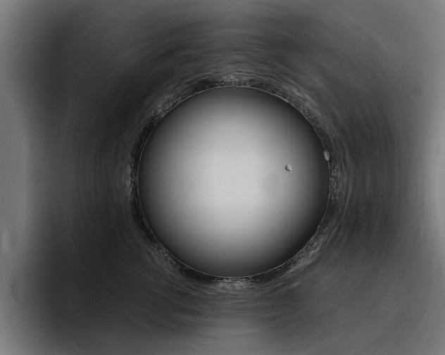 X0000094430762200711081019