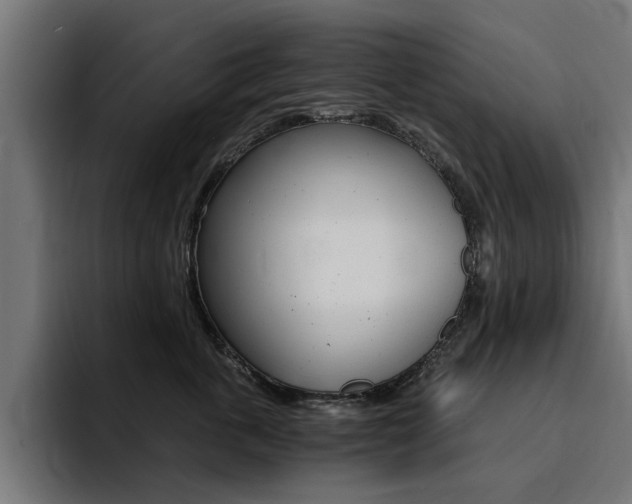 X0000094430763200711081019