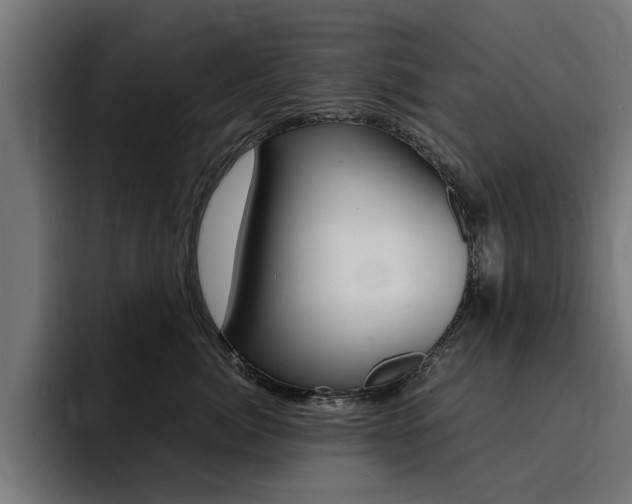 X0000094430764200711081019