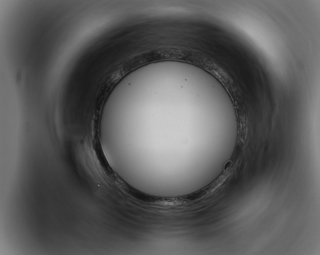 X0000094430765200711081019